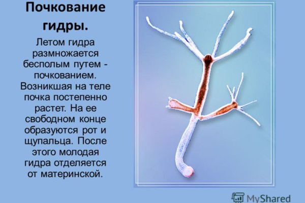 Ссылка на даркнет в тор